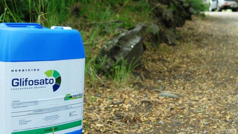 Imagem de Análises apontam contaminação generalizada por glifosato em Portugal