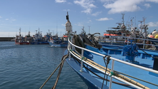 Albuquerque garante apoio aos pescadores (vídeo)