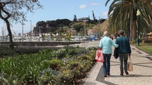 Imagem de Madeira com quatro casos suspeitos de Covid-19 em estudo