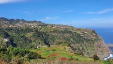 Madeira tem uma nova festa dedicada aos produtos da terra (vídeo)