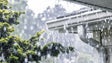 Imagem de Situação na Madeira é mais gravosa do que a prevista para o continente