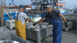 Imagem de Coopesca quer aumento da quota de atum (vídeo)
