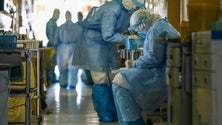 Imagem de Morreu primeiro médico com Covid-19 em Portugal