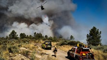Imagem de Mais de 1.500 operacionais para evitar reativações na serra da Estrela e Caldas da Rainha