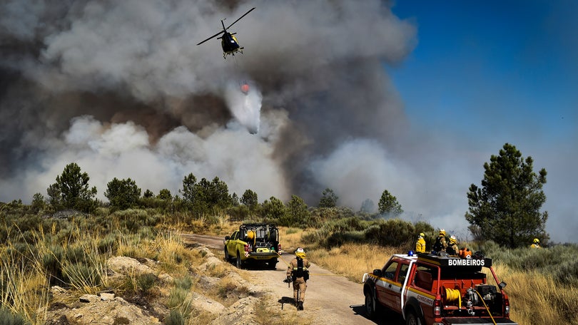 Imagem de Mais de 1.500 operacionais para evitar reativações na serra da Estrela e Caldas da Rainha