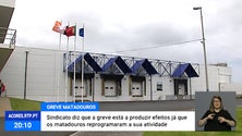Imagem de Greve dos trabalhadores dos matadouros dos Açores [Vídeo]