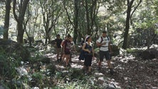 Imagem de Estudantes espanhóis escolhem a Madeira para a viagem de finalistas (Vídeo)