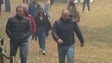 Imagem de PS Madeira defende o regresso do gado às serras (vídeo)