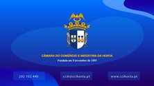 Imagem de Edifício da Câmara de Comércio da Horta foi penhorado (Vídeo)
