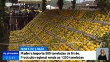 Imagem de Madeira quer aposta na produção de limão para atingir a auto-suficiência