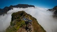 Imagem de II edição do Transmadeira arranca hoje