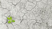 Imagem de Funchal acolhe debate sobre papel da engenharia nas alterações climáticas