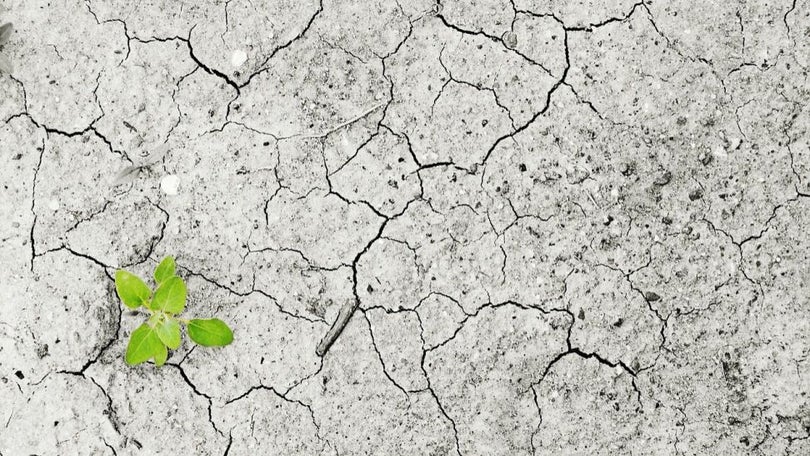 Imagem de Funchal acolhe debate sobre papel da engenharia nas alterações climáticas