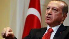 Imagem de Deputada Socialista diz que votação na Turquia aconteceu de forma tranquila e transparente