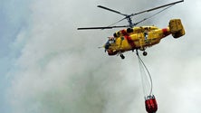 Imagem de Incêndios: Publicada reivindicação da Madeira para Governo suportar meio aéreo