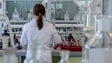 Imagem de Catorze jovens concluíram ocupação científica no Centro de Química da Madeira
