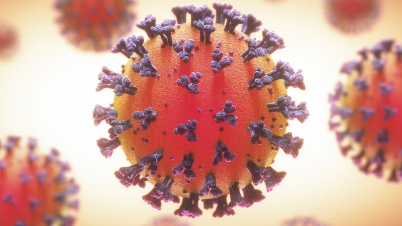 Covid-19: Tecnologia pioneira inativa vírus SARS-CoV-2 e bactéria da tuberculose