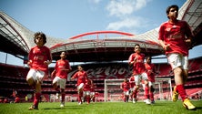 Imagem de Escola de modalidades do Benfica recruta na Madeira