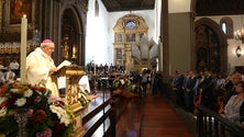 Imagem de Papa Francisco envia mensagem aos madeirenses
