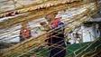 Imagem de ONU pede fim de subsídios que contribuem para sobrepesca