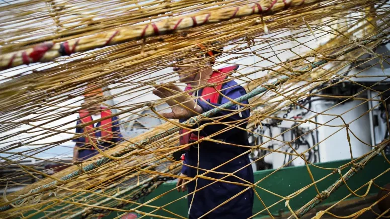 ONU pede fim de subsídios que contribuem para sobrepesca