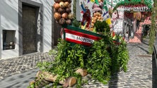 Imagem de São Pedro anima concelhos da Ribeira Brava e Câmara de Lobos (áudio)