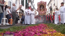 Procissão regressa à cidade (Vídeo)