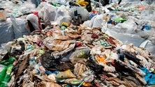 Imagem de Tribunal de Contas recomenda extinção de empresa intermunicipal de S. Miguel  (Vídeo)