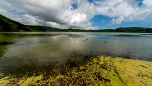 Imagem de Concluído o segundo ensaio de limpeza na Lagoa das Furnas (Vídeo)