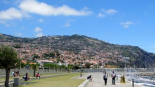 Imagem de Funchal aprova medidas de apoio ao comércio local (Vídeo)
