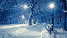 Imagem de Romantic Winter Wonderland encheu Centro de Congressos