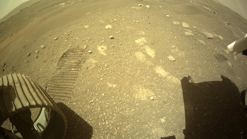 «Perseverance» fez primeiro teste de mobilidade em Marte (fotos)