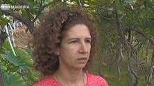 Imagem de Vindimas: Produtores do Seixal elogiam a qualidade das uvas deste ano (Vídeo)
