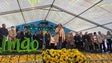 Imagem de Governo da Madeira subsidia gasolina e gasóleo (vídeo)