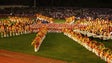Imagem de Festa do desporto escolar da Madeira regressa a 22 de maio