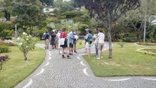 Imagem de Programa BIOBLITZ, nos Açores, apela ao cuidado da biodiversidade (Vídeo)