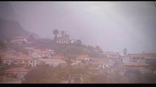 Imagem de Repórter Madeira : hoje sobre a extinta lei da colonia