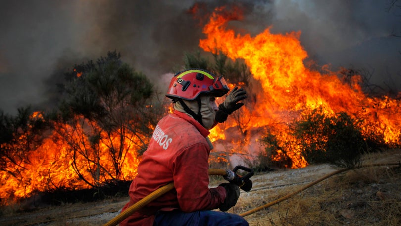 Comissão Europeia prevê época de incêndios acima da média na Europa