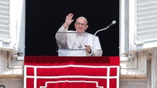 Imagem de Papa pede que não se aceitem os conflitos, guerra e violência