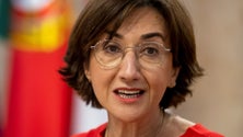 Imagem de Governo negoceia a abertura de 74 mercados para exportação de 315 produtos