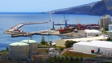 Imagem de Madeira com recorde de exportações