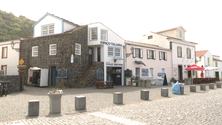 Imagem de Observação de Cetáceos nas Lajes do Pico