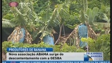 Está constituída uma nova associação de produtores de banana, a ABAMA (Vídeo)