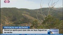 Imagem de Governo Regional pede à população para evitar fazer queimadas durante o verão (Vídeo)