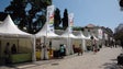 Imagem de Covid-19: Feira do Livro do Funchal vai dar lugar, este ano, a uma Festa do Livro (Áudio)