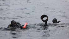 Imagem de Bombeiros limpam fundo do mar ao largo do Pico (Vídeo)