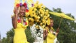 Festa da Flor na África do Sul