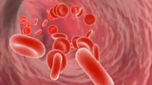 Imagem de Governo prepara medidas de combate à endometriose (Vídeo)