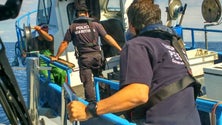Imagem de Pescado capturado de forma ilícita no Banco Condor (Vídeo)