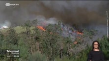 Risco extremo de incêndios florestais na Madeira na próxima semana (vídeo)